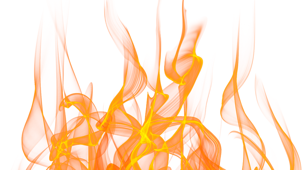 AbVantage Fat Burner