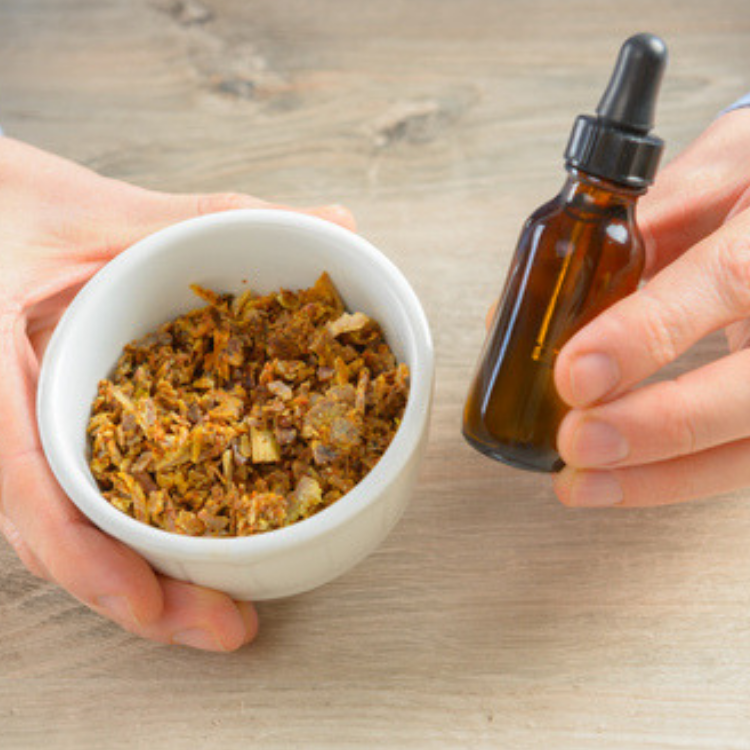 Bee Propolis Tincture 2 ounce